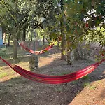 Farm stay Le Biricoccole Vada