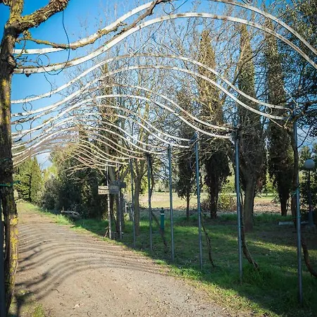 Le Biricoccole