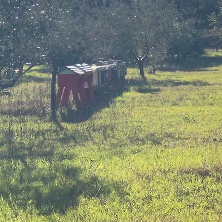 Le Biricoccole Alojamento de Turismo Rural *