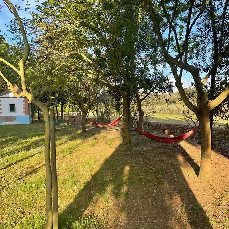 Le Biricoccole Alojamento de Turismo Rural Vada