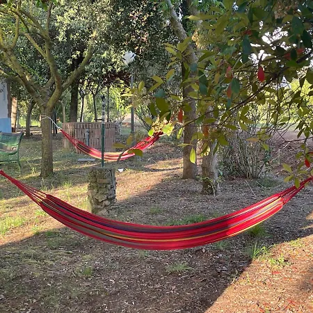 Alojamento de Turismo Rural Le Biricoccole Vada
