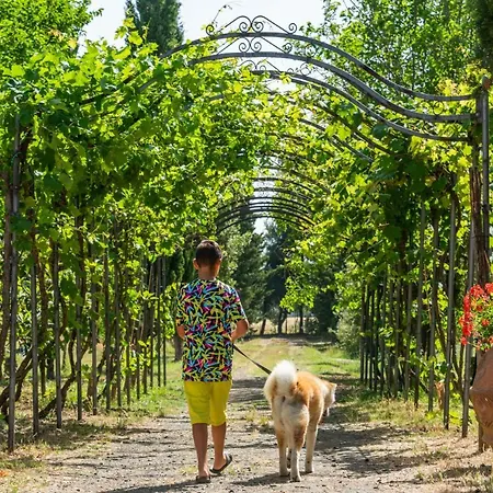 Alojamento de Turismo Rural Le Biricoccole