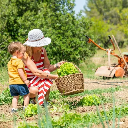 Le Biricoccole Alojamento de Turismo Rural Vada